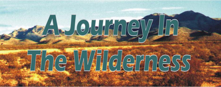 A Journey In The Wilderness