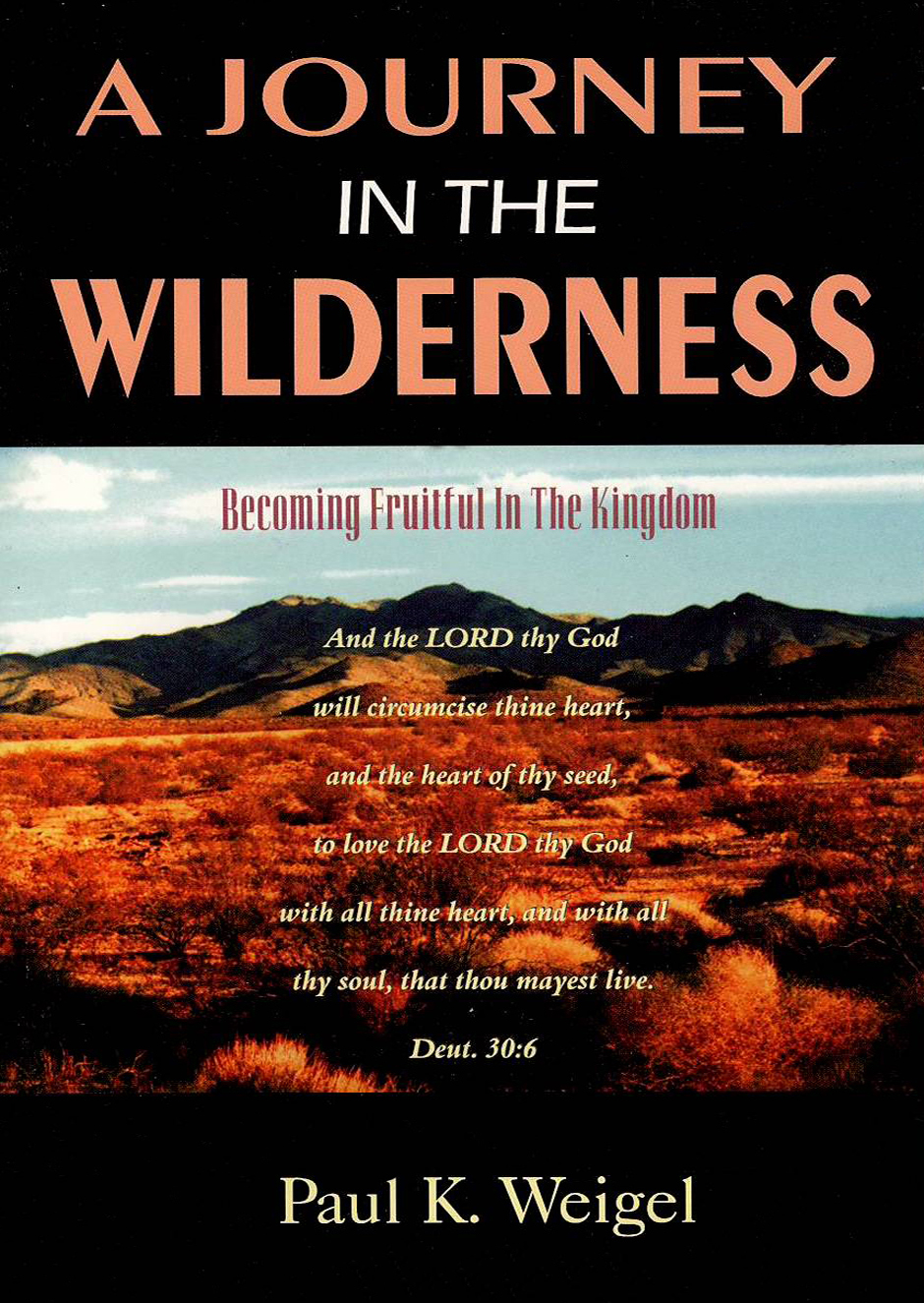 A Journey In The Wilderness - Book